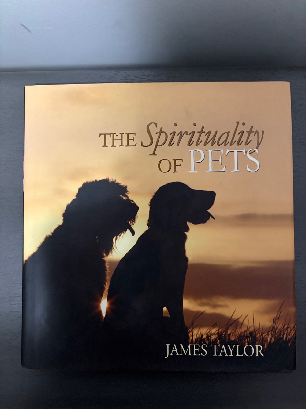 The Spirituality of Pets by James Taylor hardcover book EPISCOPAL